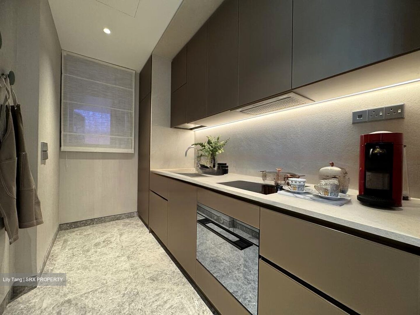 Marina View (D1), Condominium #455948351